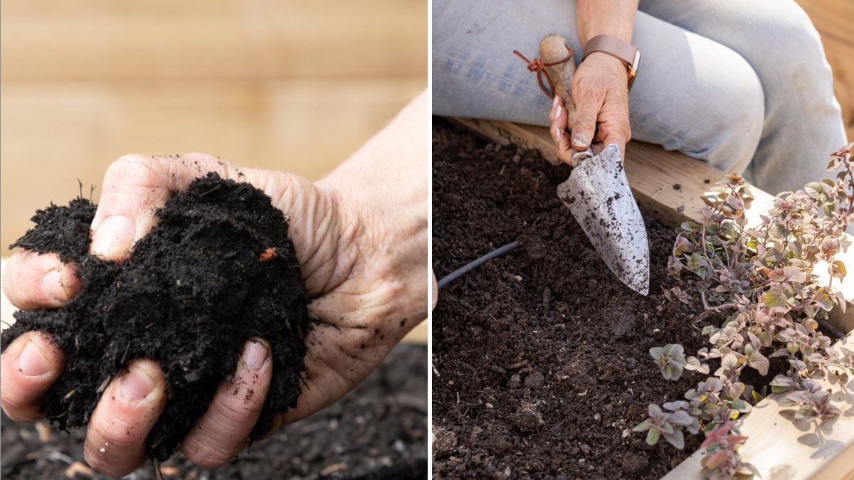 10 Signs Your Soil Is Unhealthy—and How to Fix It