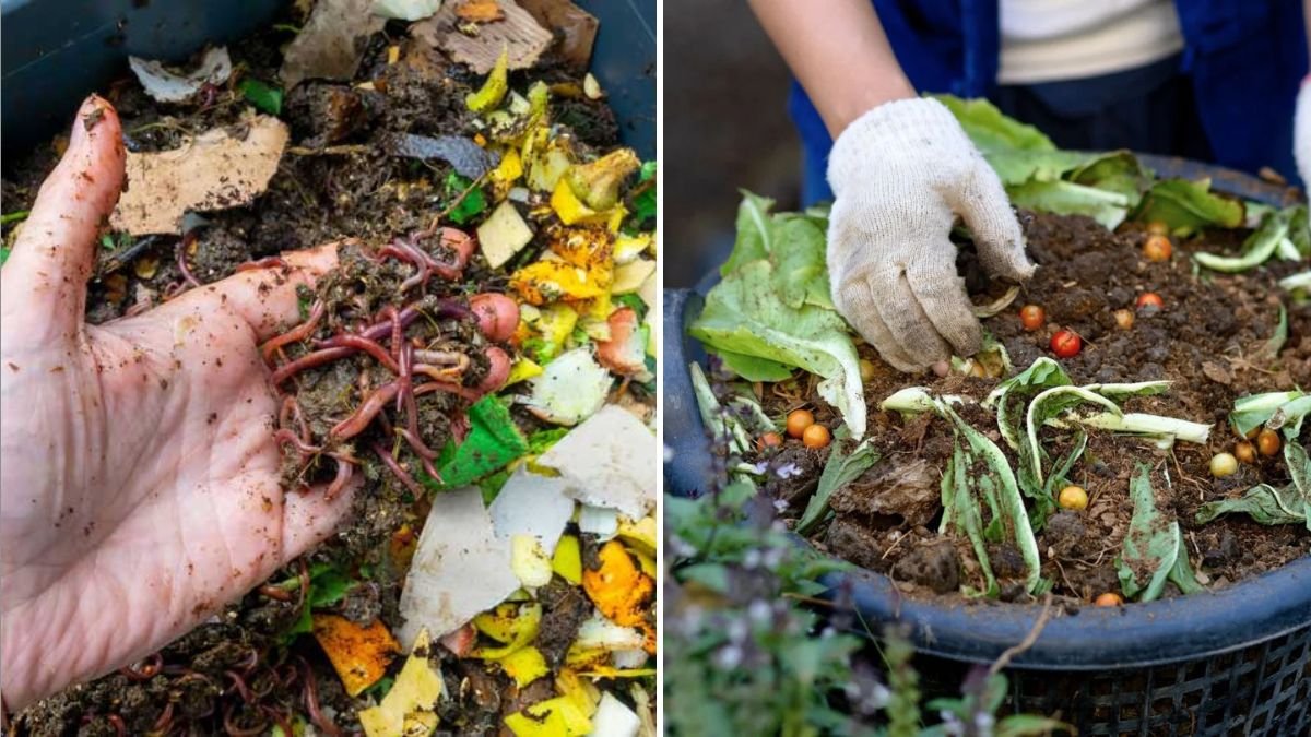 Should You Rotate Compost Piles? Experts Explain