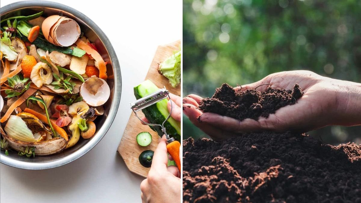 5 Homemade Fertilizers That Cost Nothing