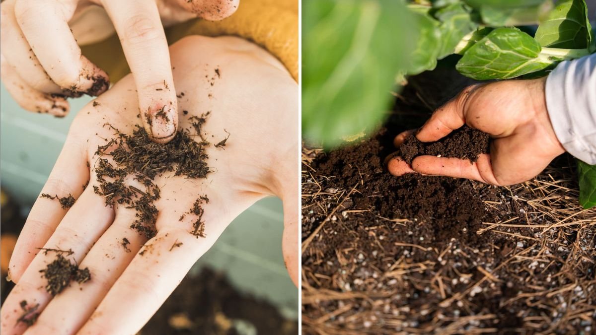 How to Add Worm Castings to Boost Garden Soil