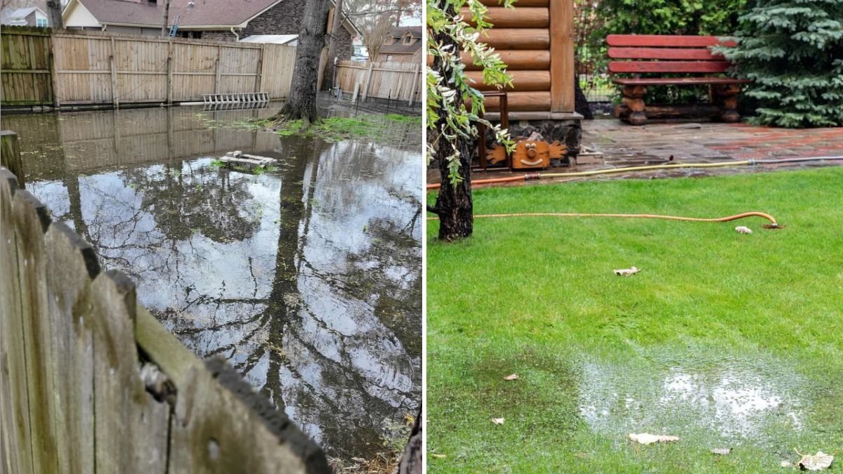 How to Repair a Flooded Lawn After Heavy Rain