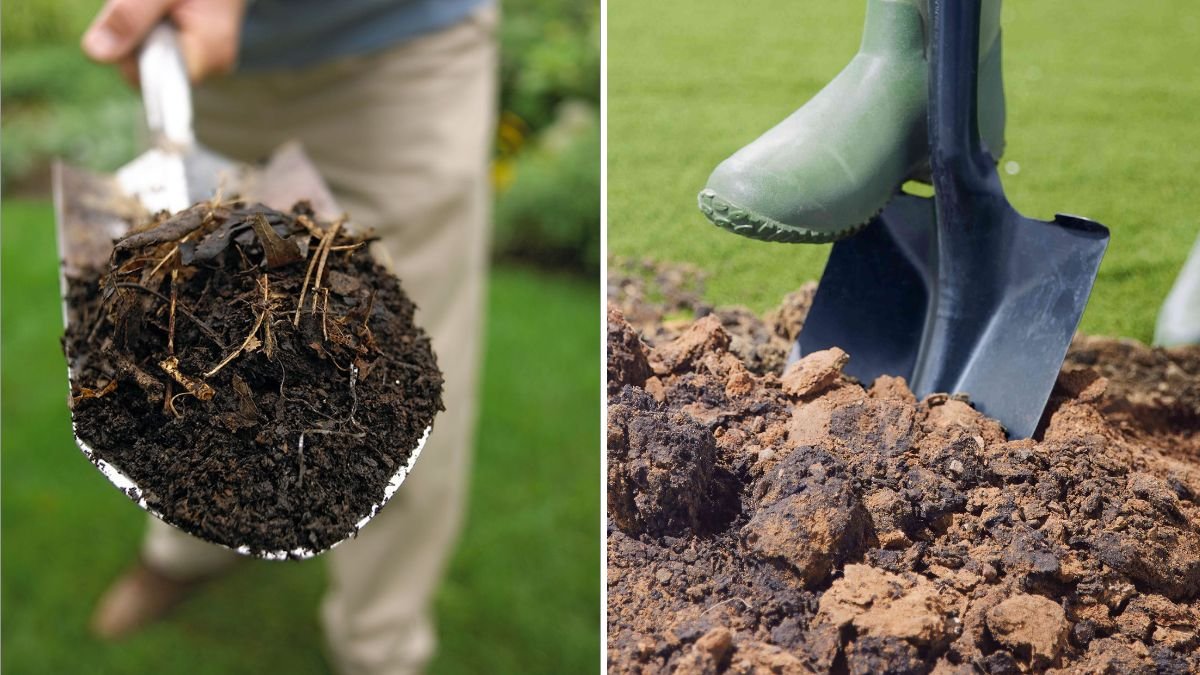  How to Revive Soil After Heavy Fertilizer Use