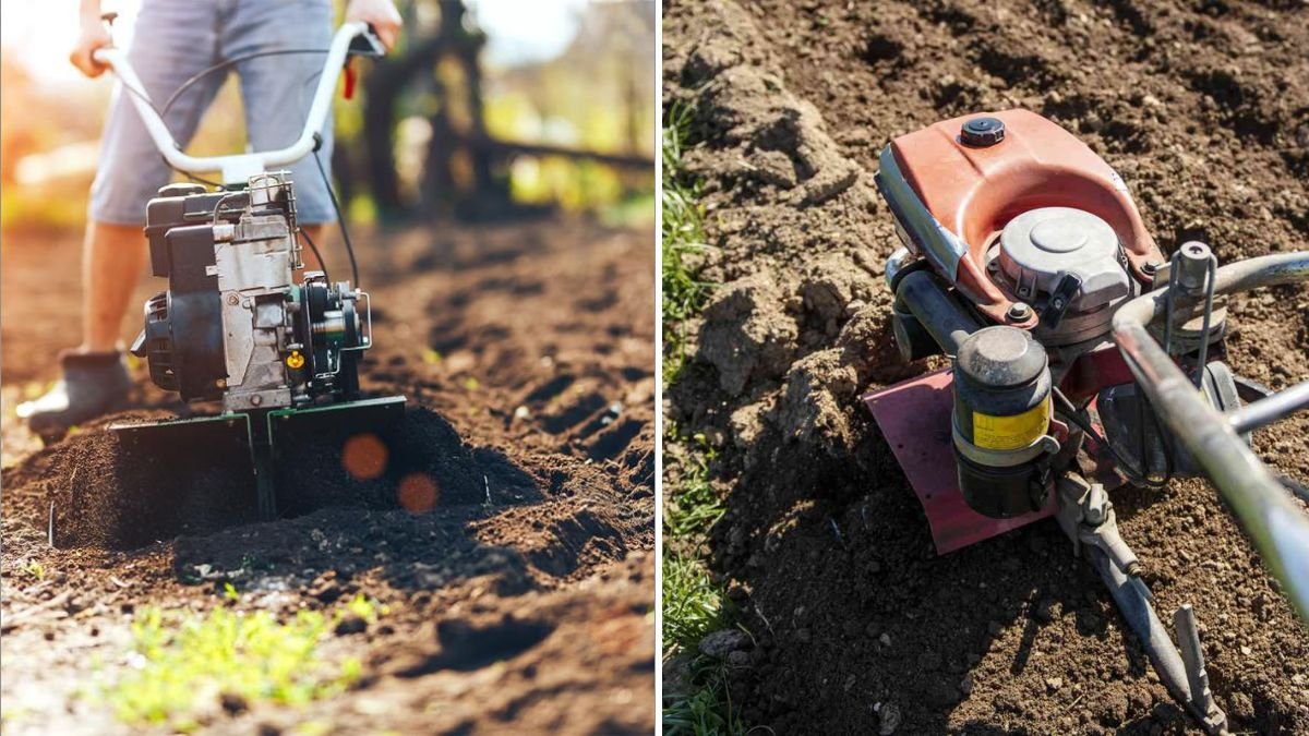 Should You Till Soil Every Year? Experts Debate