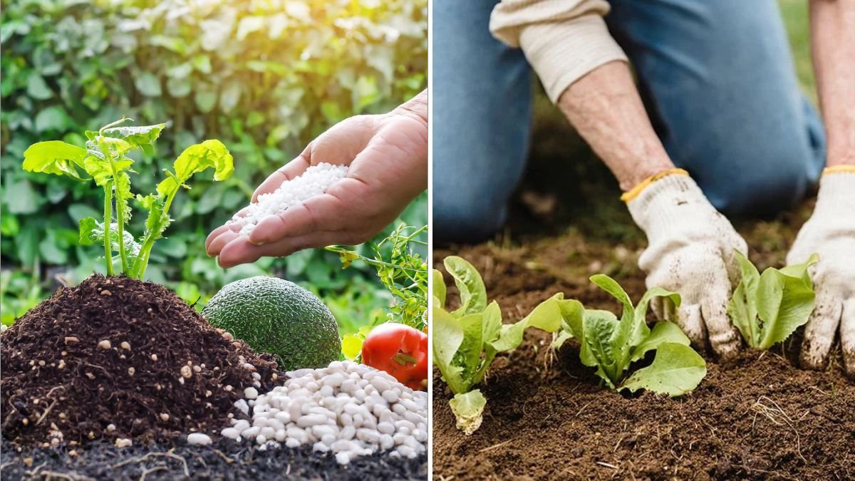 7 Common Fertilizer Myths Debunked