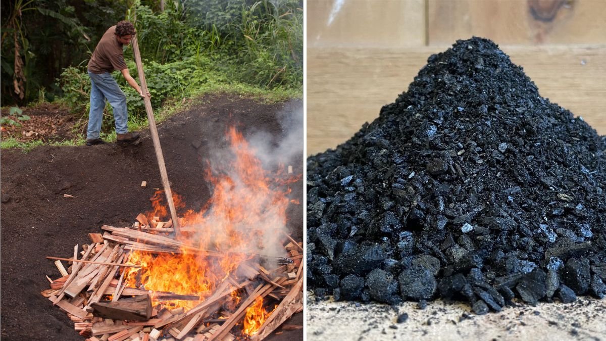How to Make Biochar for Your Garden
