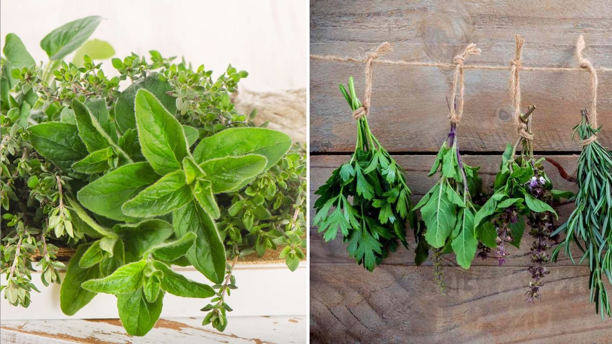 How to Dry Your Own Herbs Without Losing Flavor