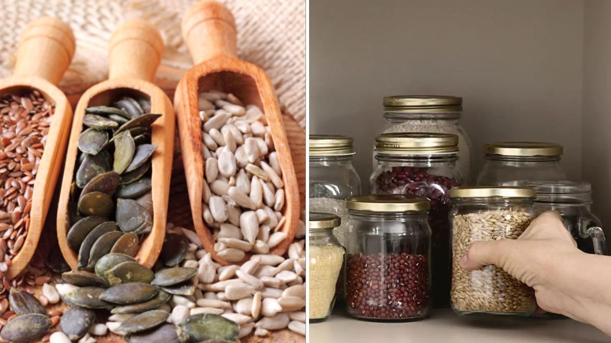 How to Store Seeds From This Year’s Harvest