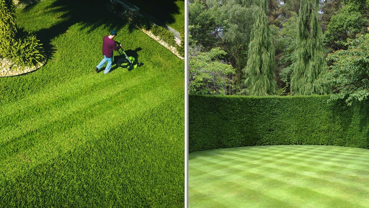 How to Create Striped Patterns in Your Lawn Like the Pros